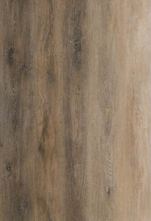 BS66020